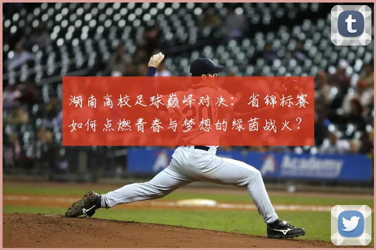 湖南高校足球巅峰对决:省锦标赛如何点燃青春与梦想的绿茵战火?