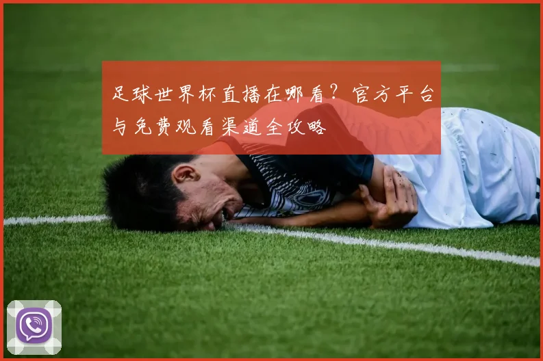 足球世界杯直播在哪看?官方平台与免费观看渠道全攻略