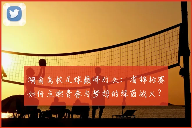 湖南高校足球巅峰对决：省锦标赛如何点燃青春与梦想的绿茵战火？